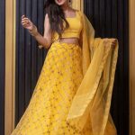 Lahenga Choli Lahenga Choli